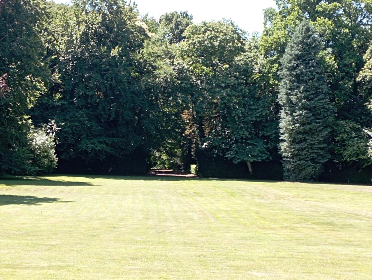 Chateau Du Bois-Riou Quévert Dış mekan fotoğraf